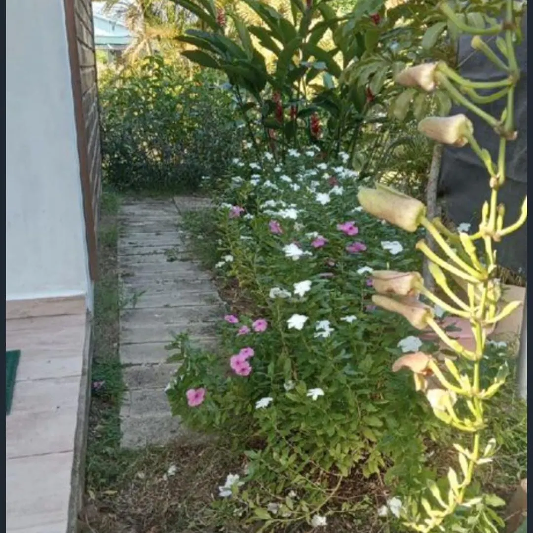 Gite Cajou Dans Jardin Tropical Ventile A Sainte-Anne Sainte-Anne (Grande-Terre)